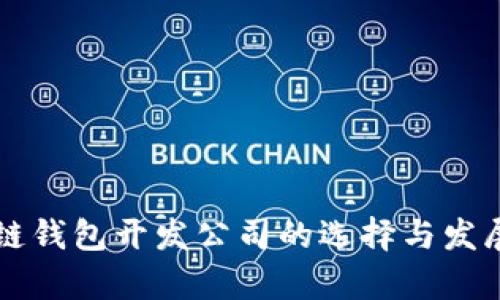 南宁区块链钱包开发公司的选择与发展前景分析