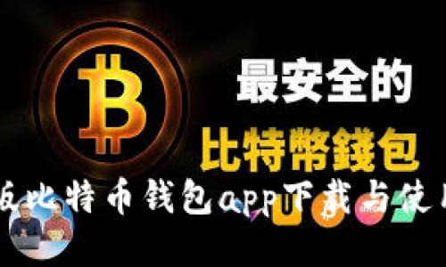 中文版比特币钱包app下载与使用指南