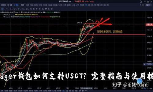 Ledger钱包如何支持USDT? 完整指南与使用技巧