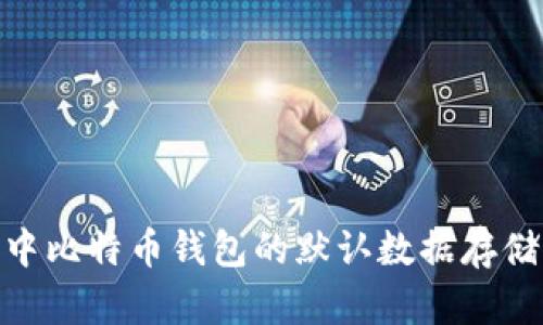 Mac系统中比特币钱包的默认数据存储位置详解