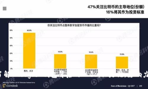 深入了解 Google 钱包背后的 Leo：他是谁，影响力如何？