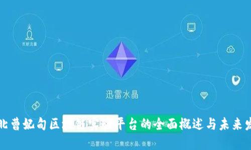 河北曹妃甸区块链实验平台的全面概述与未来发展