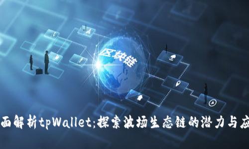 全面解析tpWallet：探索波场生态链的潜力与应用