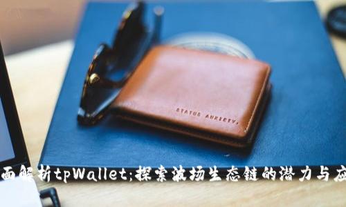 全面解析tpWallet：探索波场生态链的潜力与应用