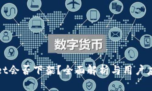 tpWallet会否下架？全面解析与用户应对策略