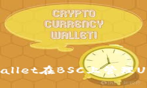如何使用tpWallet在BSC上管理USDT：全面指南