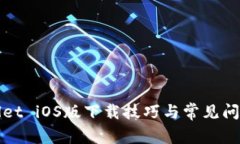 tpWallet iOS版下载技巧与常