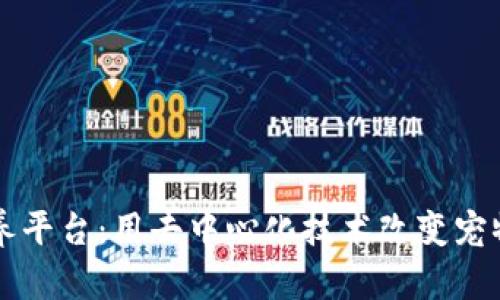 区块链宠物领养平台：用去中心化技术改变宠物领养生态系统