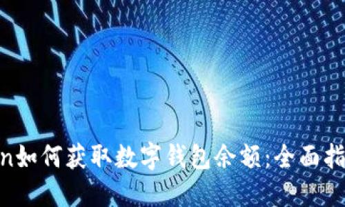 bin如何获取数字钱包余额：全面指南