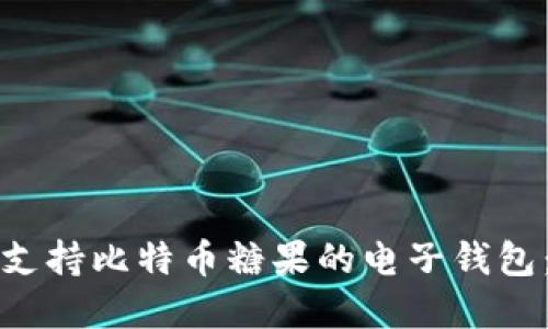 如何选择支持比特币糖果的电子钱包：全面指南