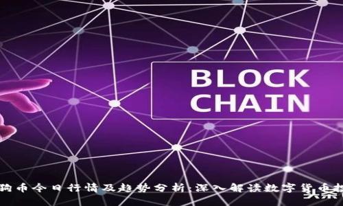 狗狗币今日行情及趋势分析：深入解读数字货币投资