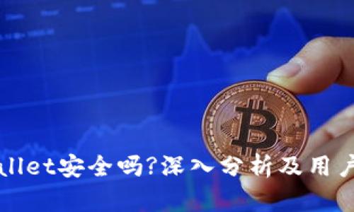 tpWallet安全吗?深入分析及用户指南