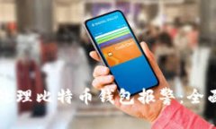 如何处理比特币钱包报警
