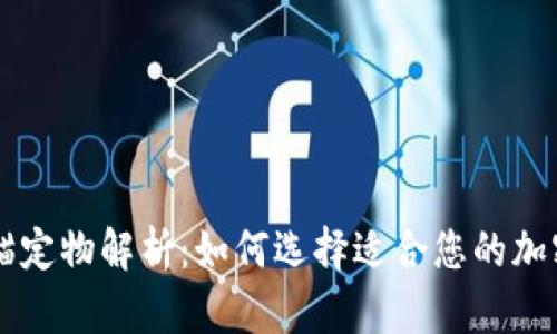 区块链钱包的锚定物解析：如何选择适合您的加密资产存储方式