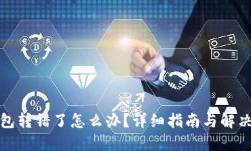 TP钱包转错了怎么办？详细指南与解决方案