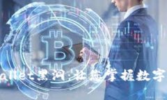 深入了解tpWallet黑洞：让您
