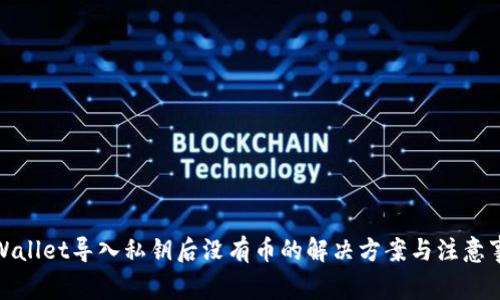 tpWallet导入私钥后没有币的解决方案与注意事项