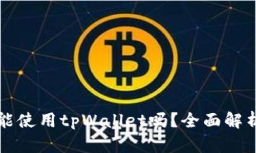 大陆用户还能使用tpWallet吗？全面解析与使用指南