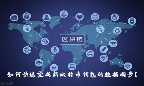如何快速完成新比特币钱包的数据同步？