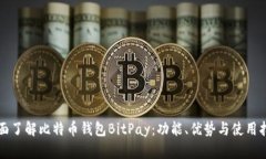 全面了解比特币钱包BitP