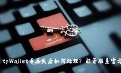 Title: tpWallet币丢失后如何