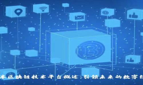 日本区块链技术平台概述：引领未来的数字经济