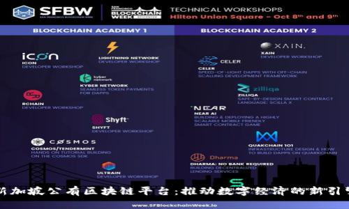 新加坡公有区块链平台：推动数字经济的新引擎
