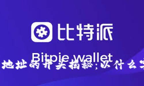 区块链钱包地址的开头揭秘：以什么字符为标识？