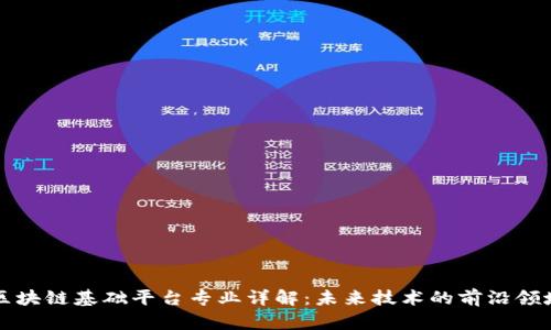 区块链基础平台专业详解：未来技术的前沿领域