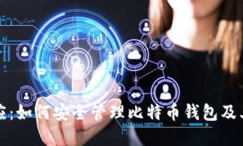 官方回应：如何安全管理比特币钱包及其重要性