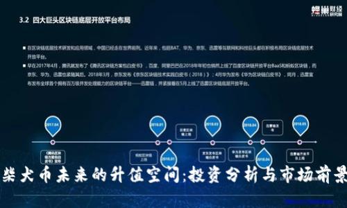 柴犬币未来的升值空间：投资分析与市场前景