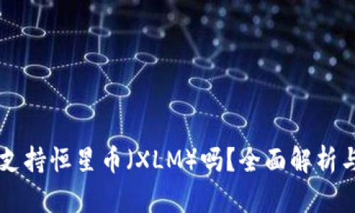 tpWallet支持恒星币（XLM）吗？全面解析与使用指南
